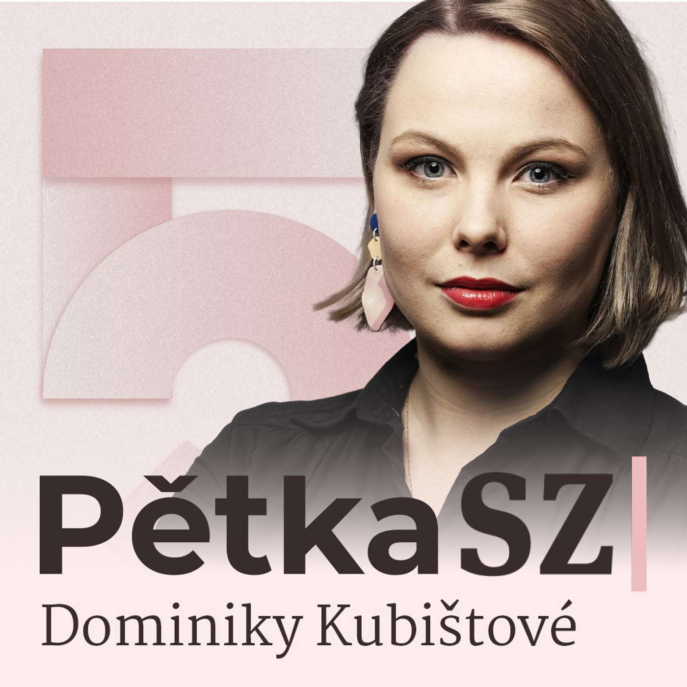 Vláda dostala důvěru a Turek post zmocněnce. A co boj o Grónsko? Vláda dostala důvěru a Turek post zmocněnce. A co boj o Grónsko?