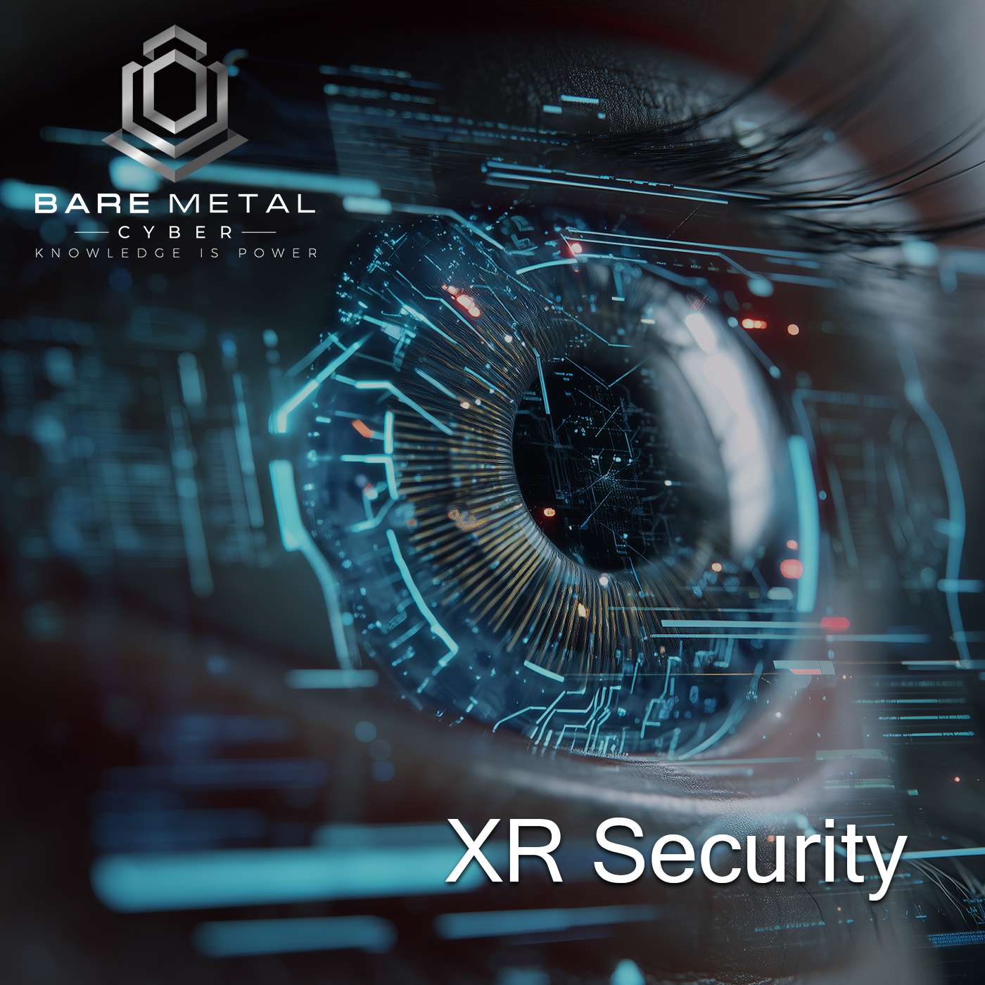 Virtual Reality Check: Cybersecurity in XR’s Wild West episode artwork