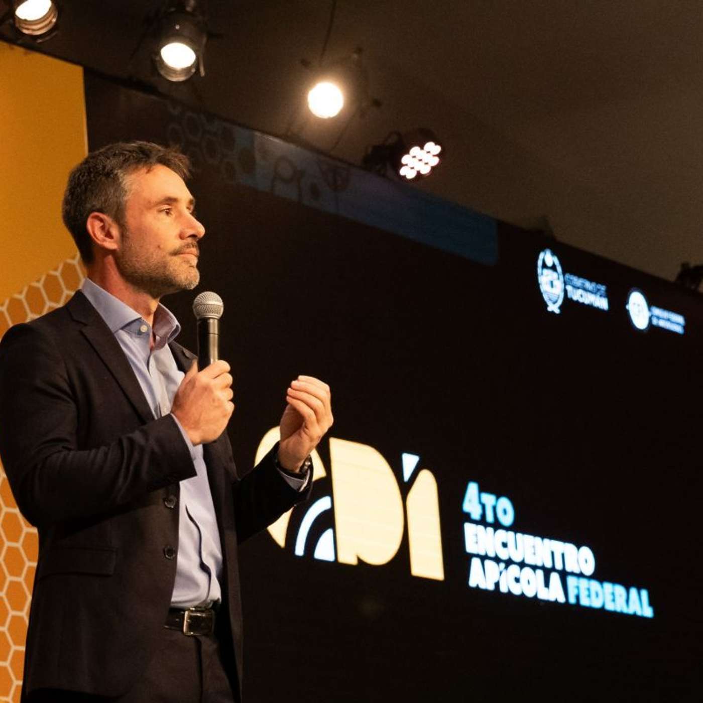 Ignacio Lamothe: “Hay que dar un gran paso para que el gas llegue a todo el país” episode artwork
