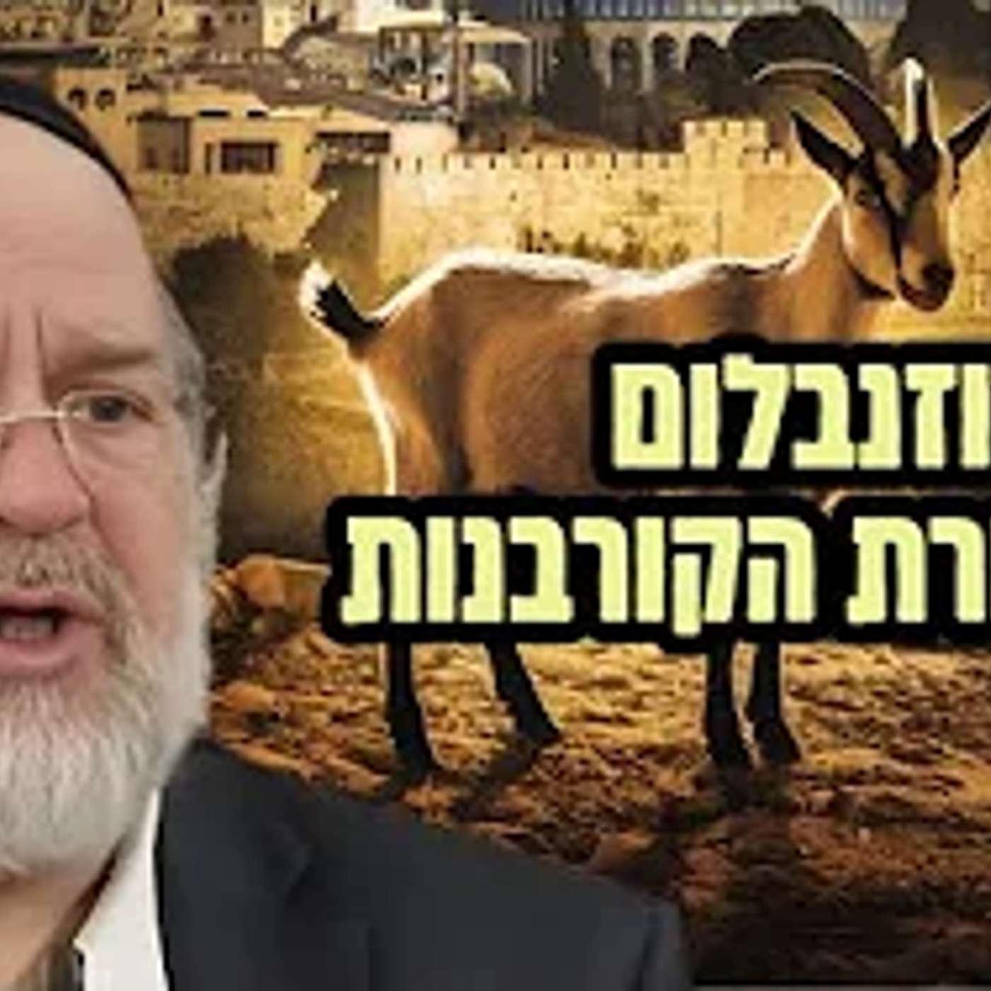 ״סוד תורת הקורבנות״ הרב ברוך רוזנבלום בשיעור מרתק לפרשת ויקרא (פ״ג)