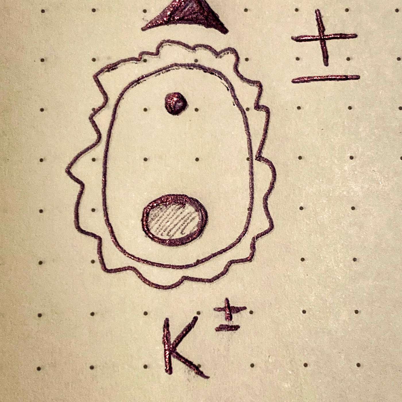 The Field Guide to Particle Physics