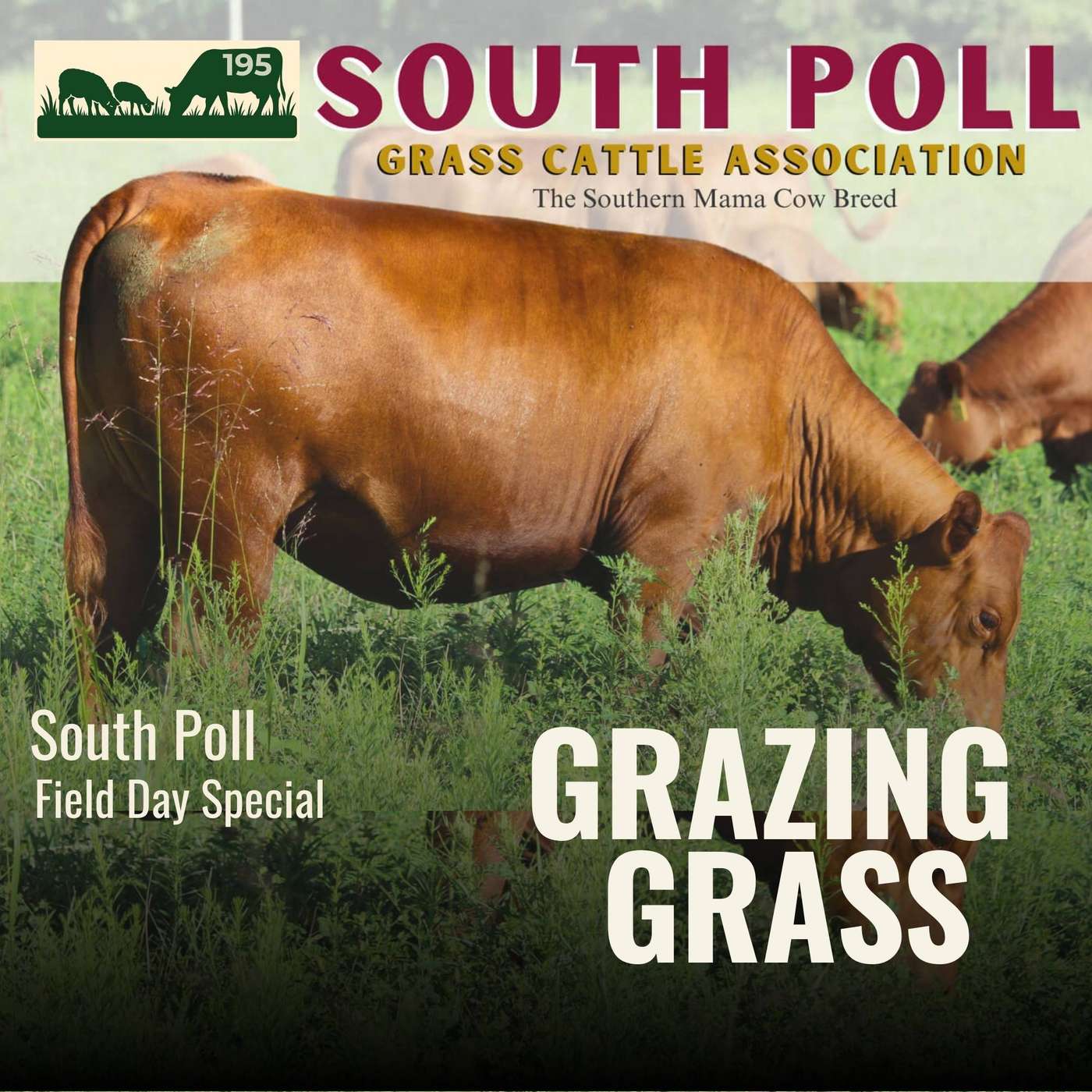 195. South Poll Field Day Special: Real Ranchers, Real Results