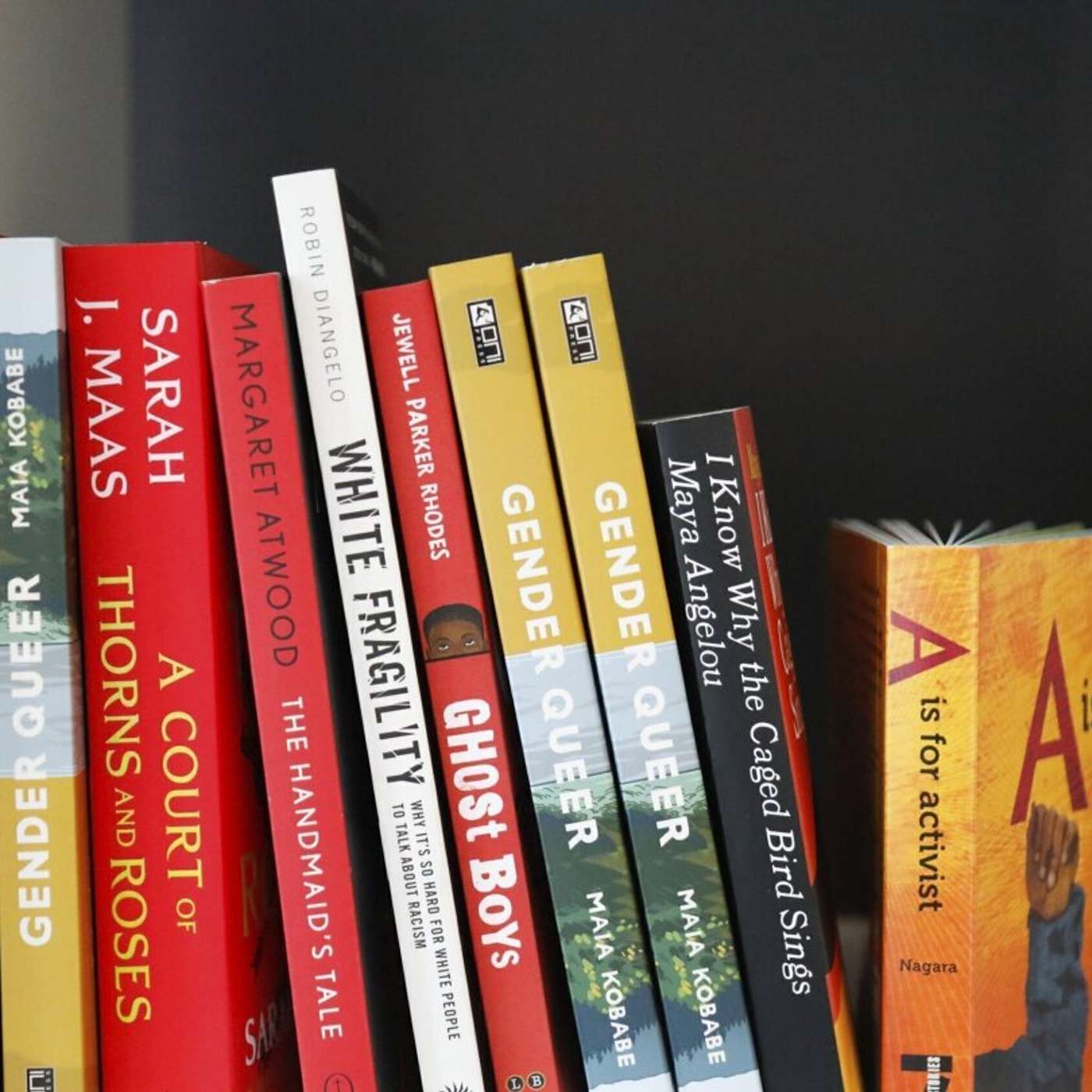 Kraft Family Advances Stadium Plan, Spirit Airlines Faces Bankruptcy, E Coli Outbreak Hits McDonalds, Florida Tops Book Bans, and more...