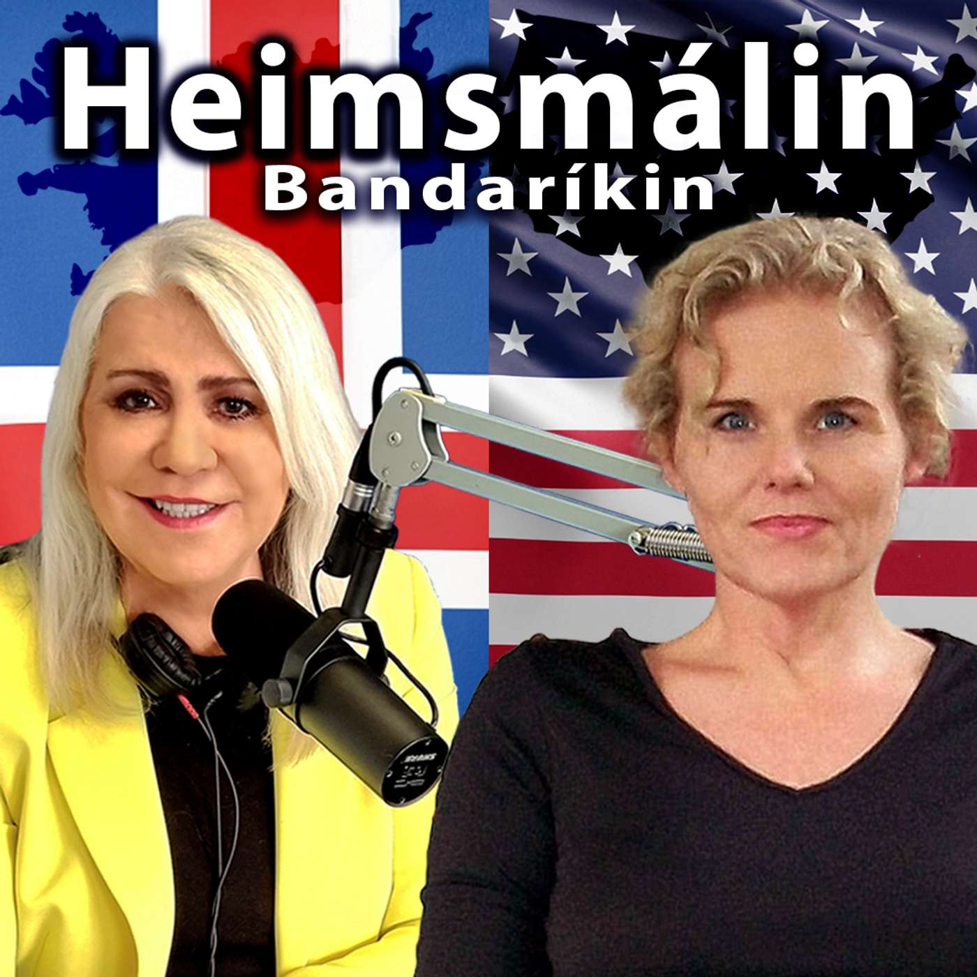 Bruninn í Los Angeles - Arnþrúður Karlsdóttir talar við Írisi Erlingsdóttur episode artwork