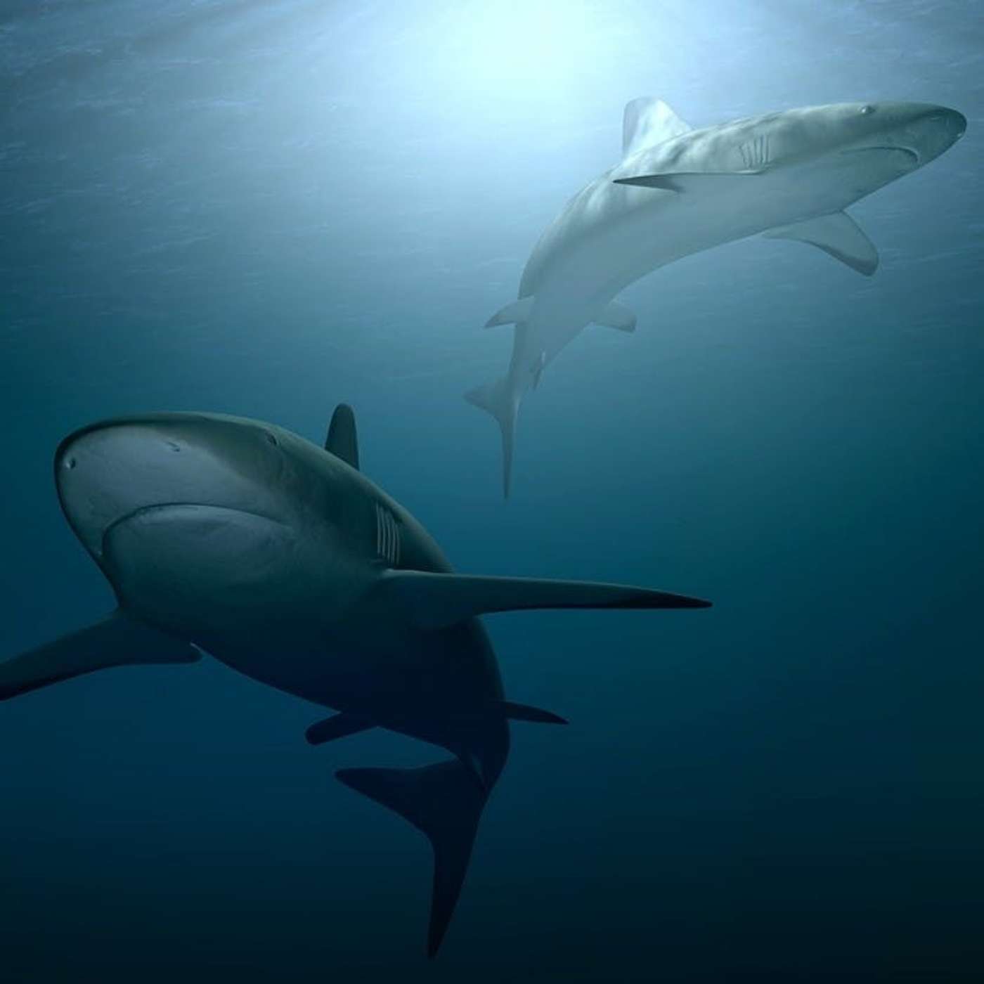 Nature and Science 4 Kids