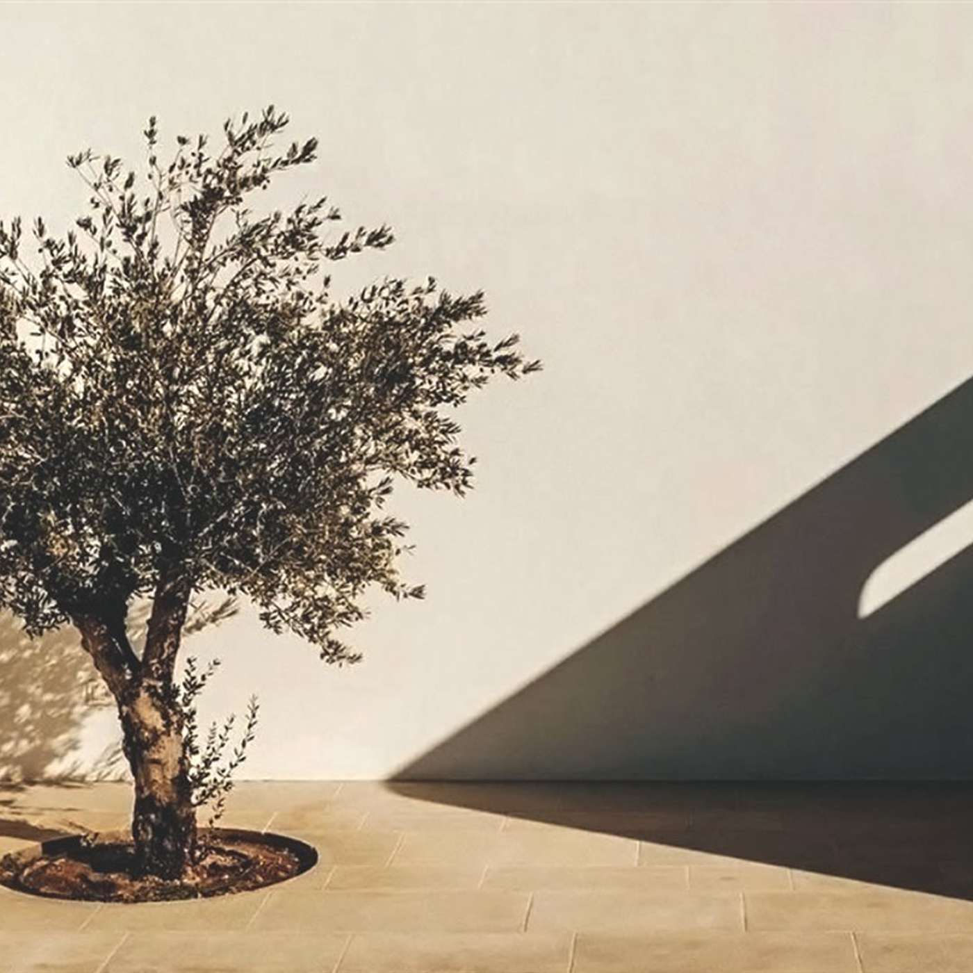 Hecha entre muchos: arquitectura popular del Mediterráneo (V): Caminar adelante, mirar atr&aacute;s: Mediterr&aacute;neo y arquitectura moderna