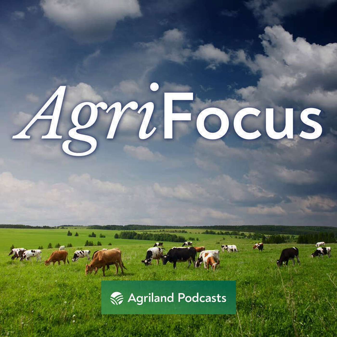 AgriFocus: Minister Pippa Hackett on being a female in farming and politics