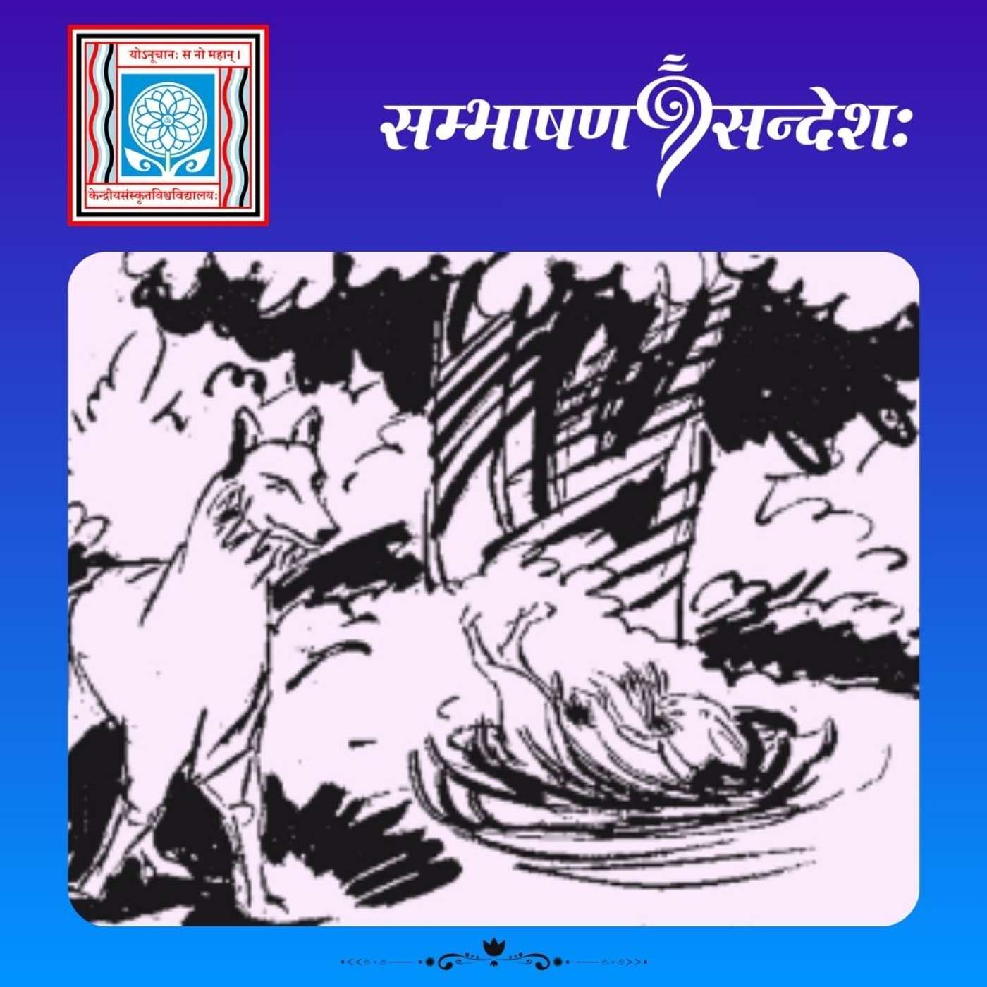 बुद्धिर्यस्य फलं तस्य