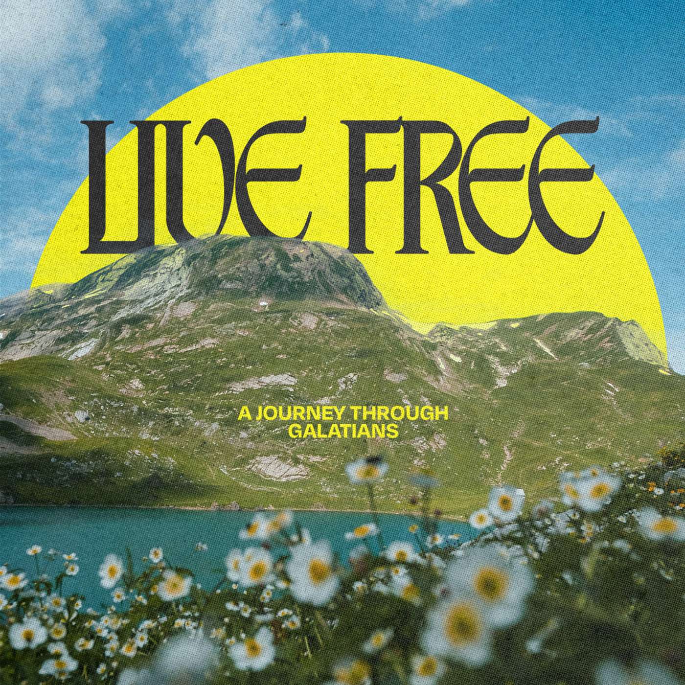 Freedom Reframed episode artwork