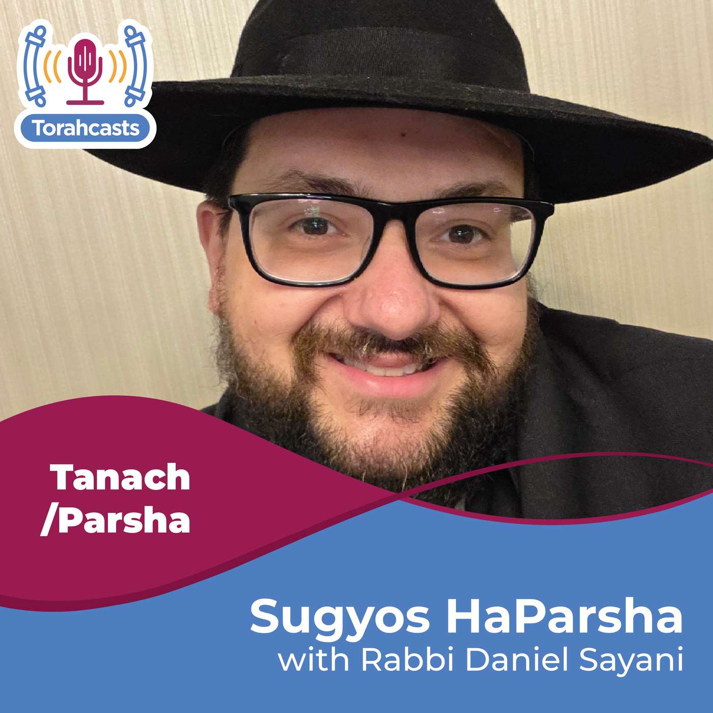 Sugyos HaParsha podcast artwork