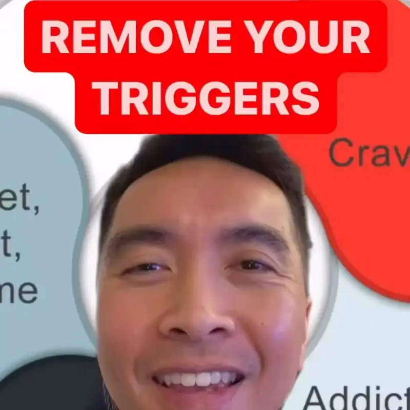 Stop the Cycle - How to Remove Your Porn Triggers for Good