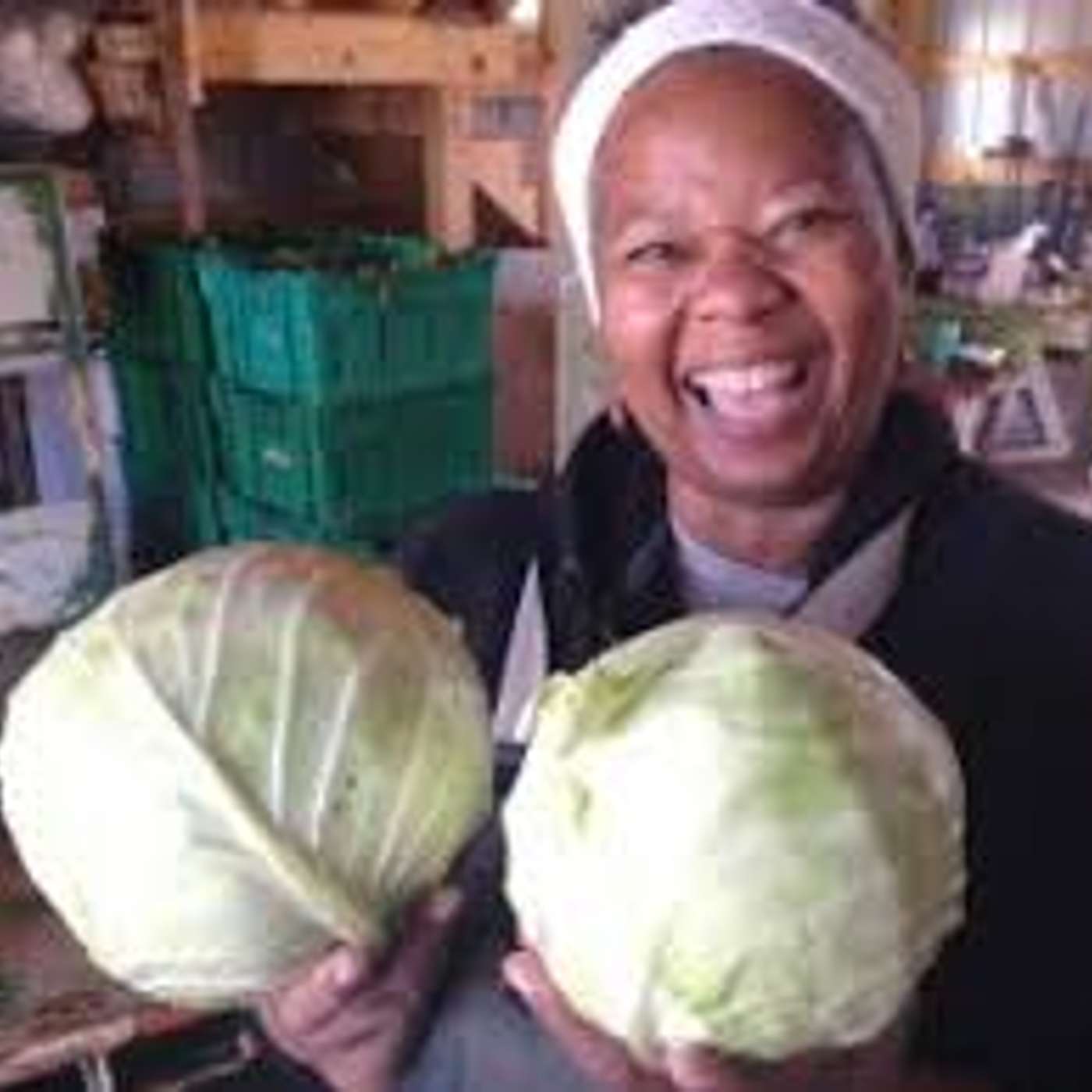The Organic Farm Stand