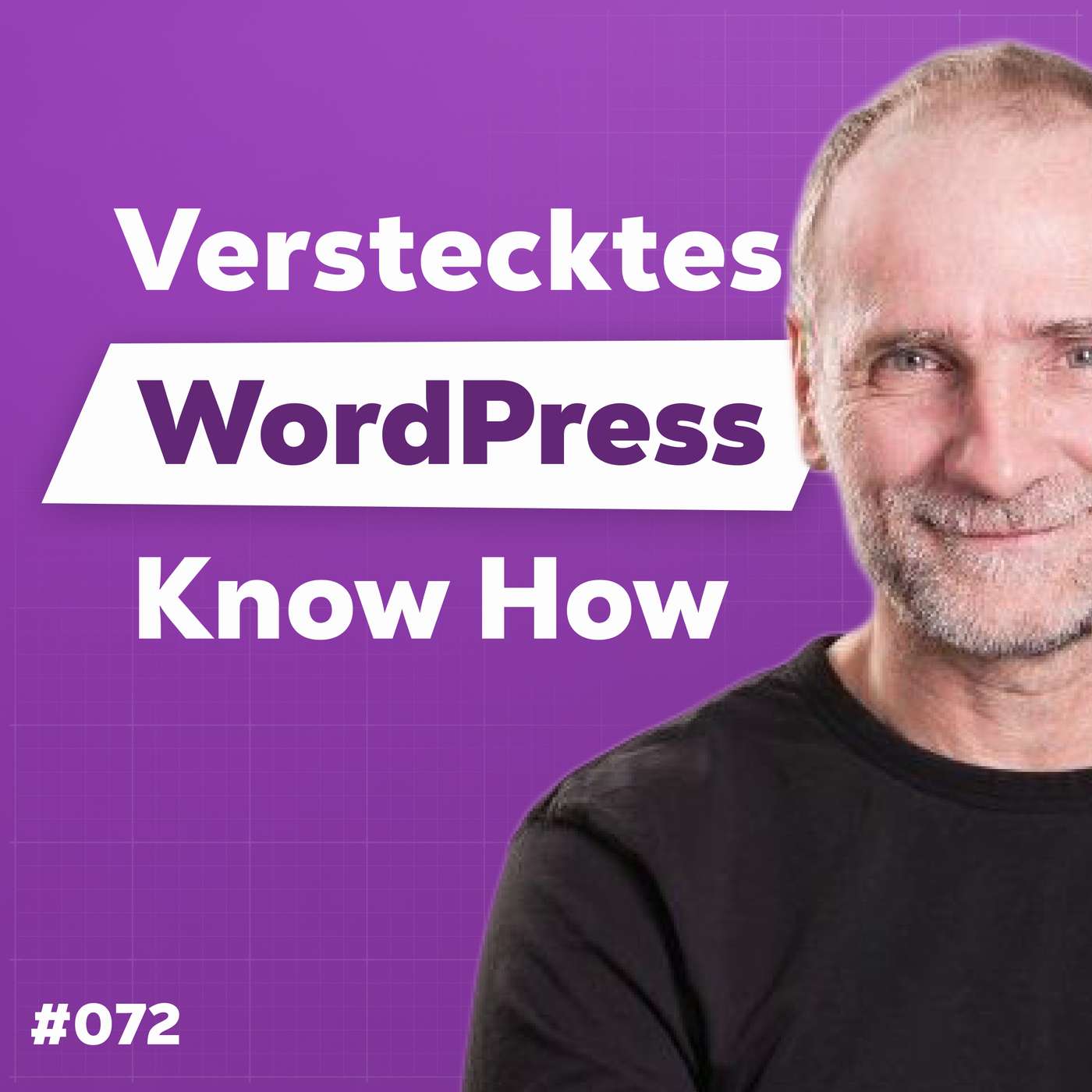 Die Dominik Liss Show (WordPress & Business Talks)