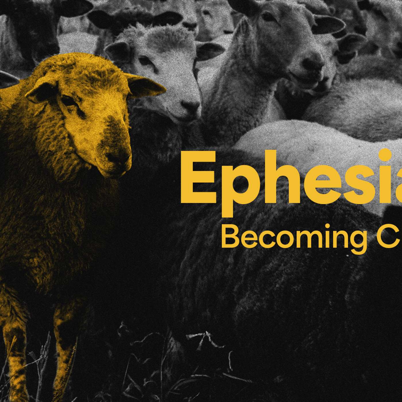 Five Words for the World | Ephesians