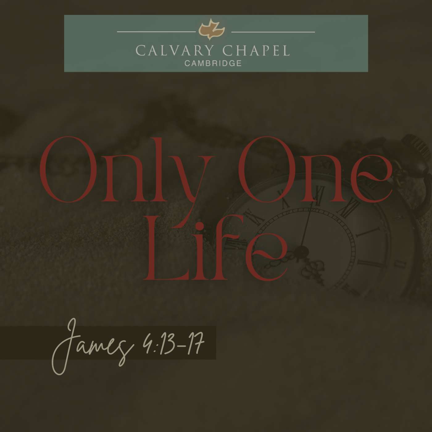 Only One Life