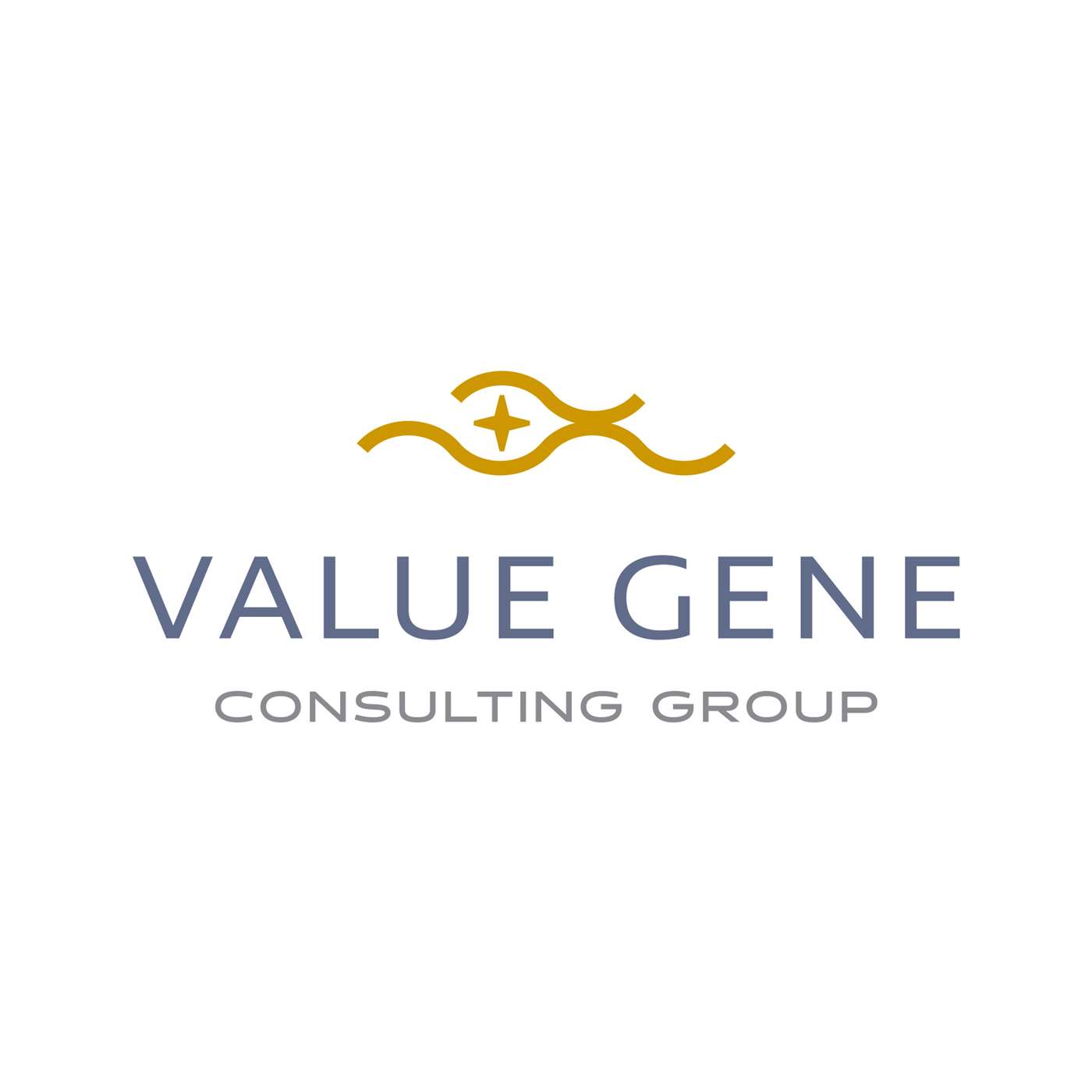 Value Gene Insight Conversations