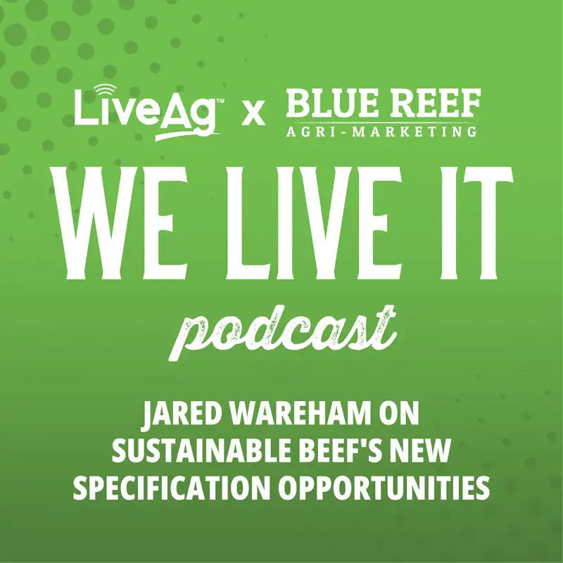 Jared Wareham on Sustainable Beef's New Specification Opportunities
