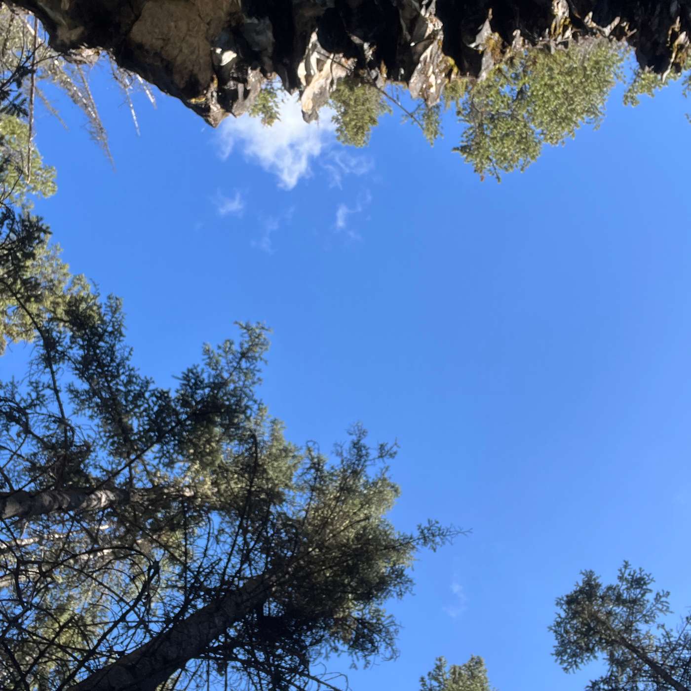 A New Lens: Magnifying the Margins