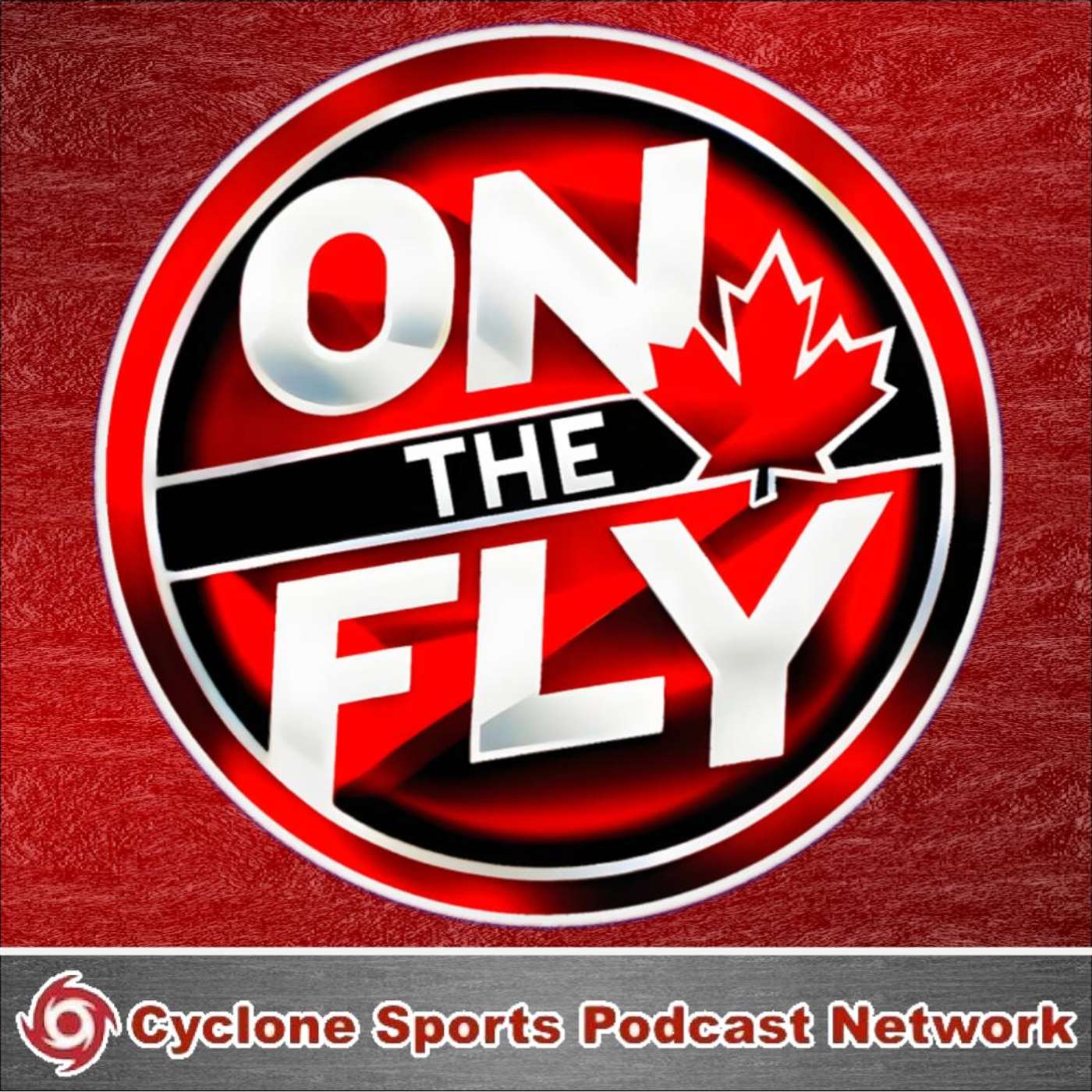 THE MOST CHAOTIC MONTH IN INTERNATIONAL HOCKEY BEGINS! On The Fly International Hockey Podcast Ep. 6