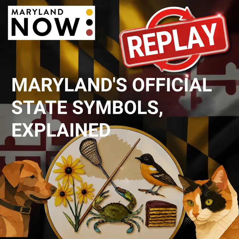 [Replay] Maryland's Official State Symbols, Explained