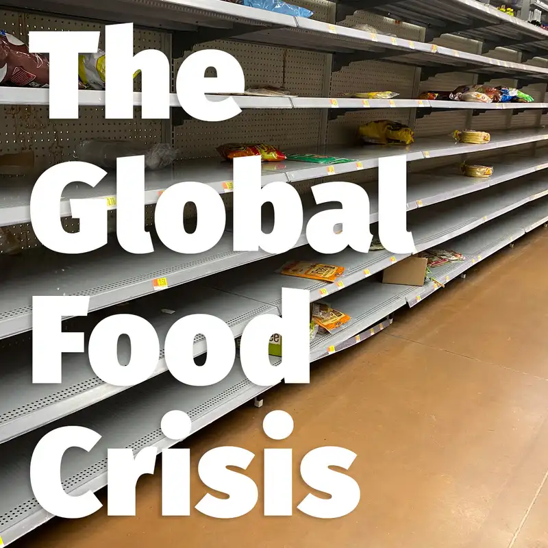Episode 145: The Global Food Crisis