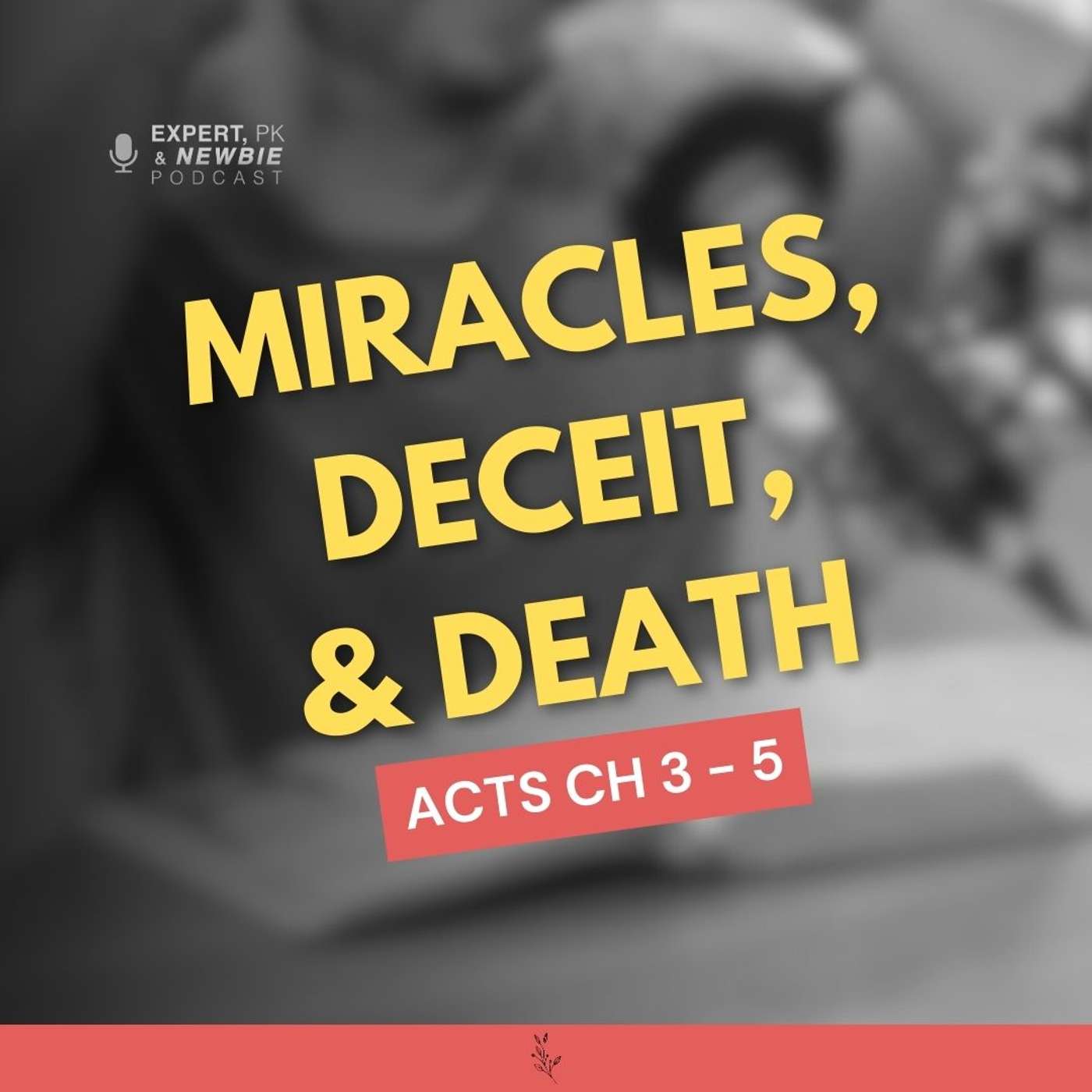 Expert, PK & Newbie Podcast