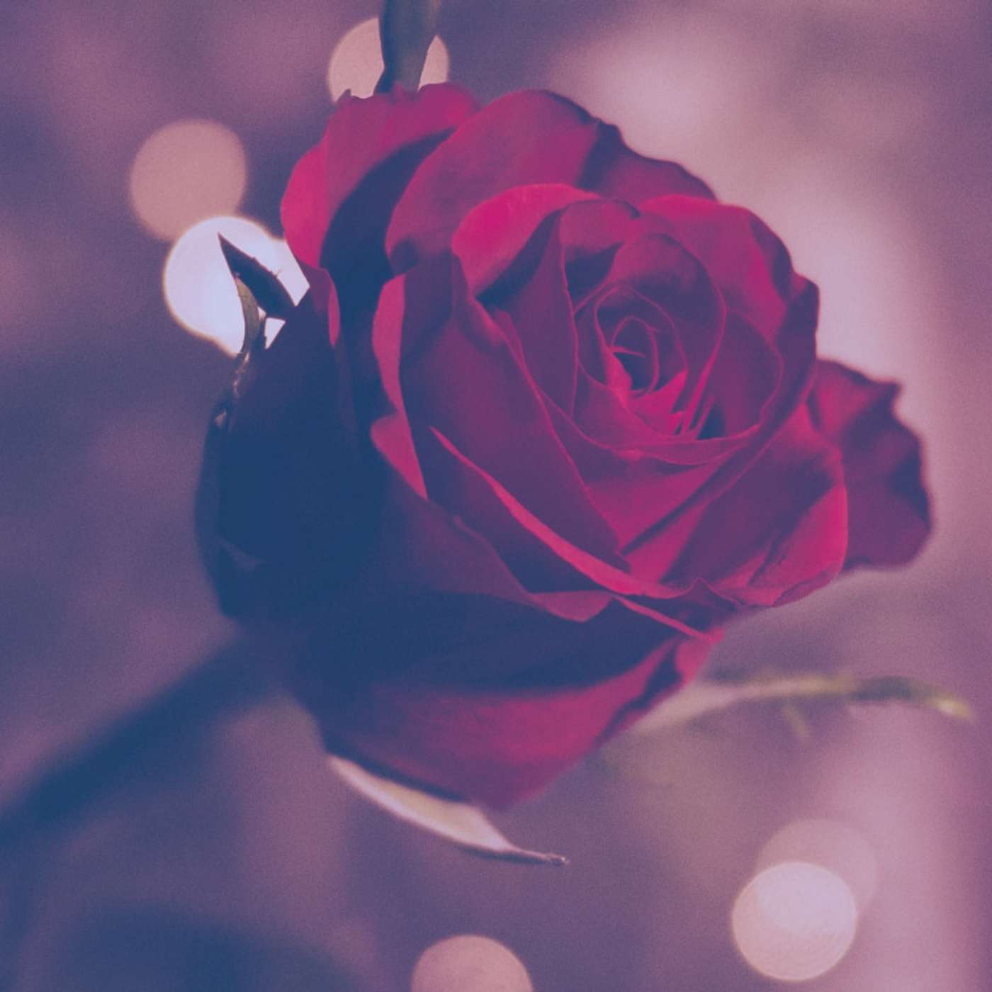 #132: Valentine's Day