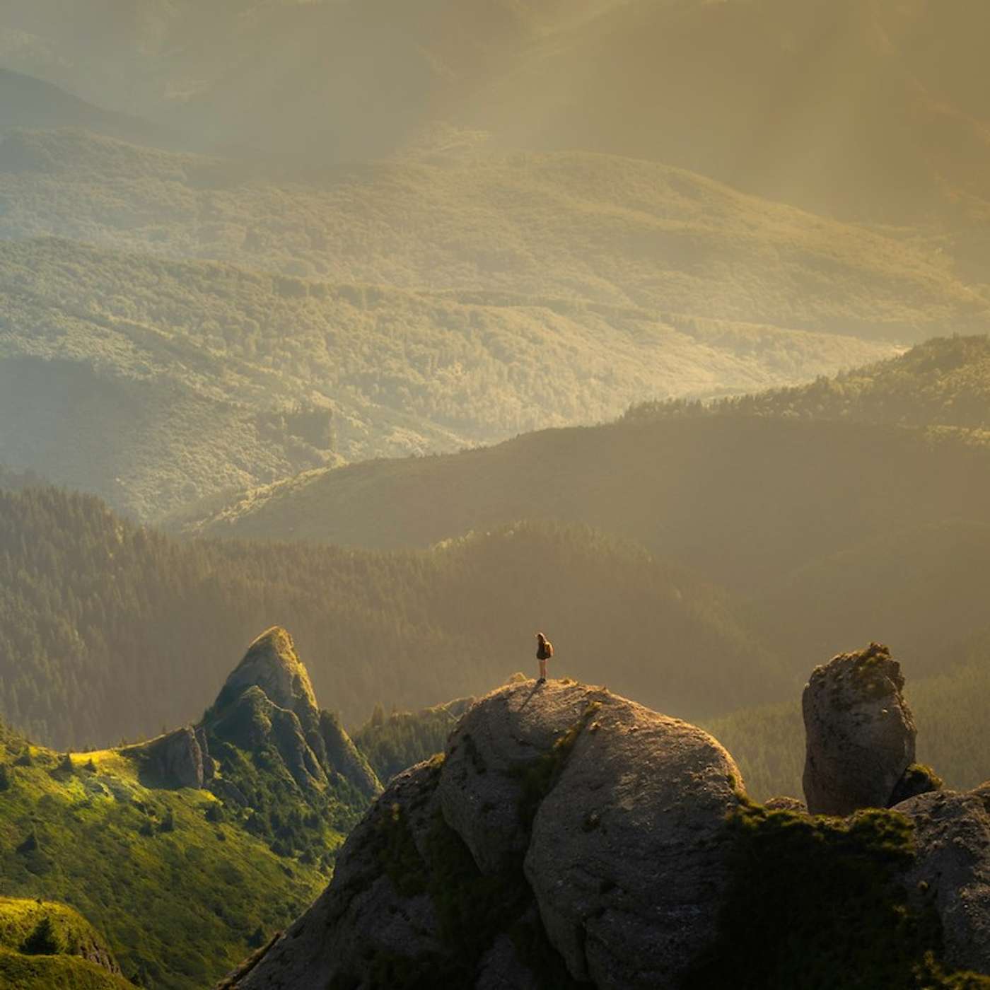 TFL BLOG | Contentment: Gratitude in the Valley of the Shadow of Death episode artwork