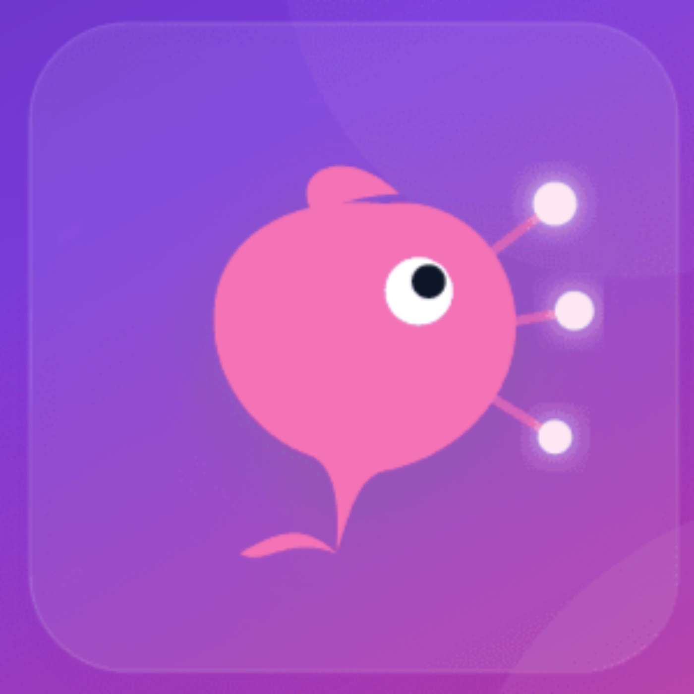 Tokyo Bachi-Nuke: When Seabass Go on a Dinner Frenzy