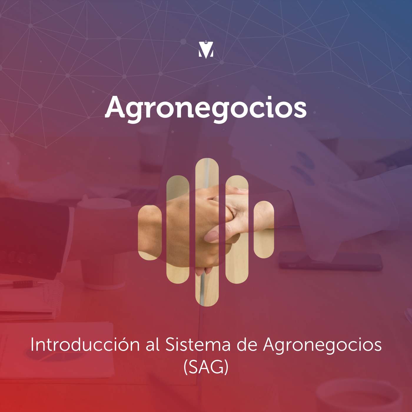 1 - AGRONEGOCIOS: Introducción al Sistema de Agronegocios (SAG) episode artwork