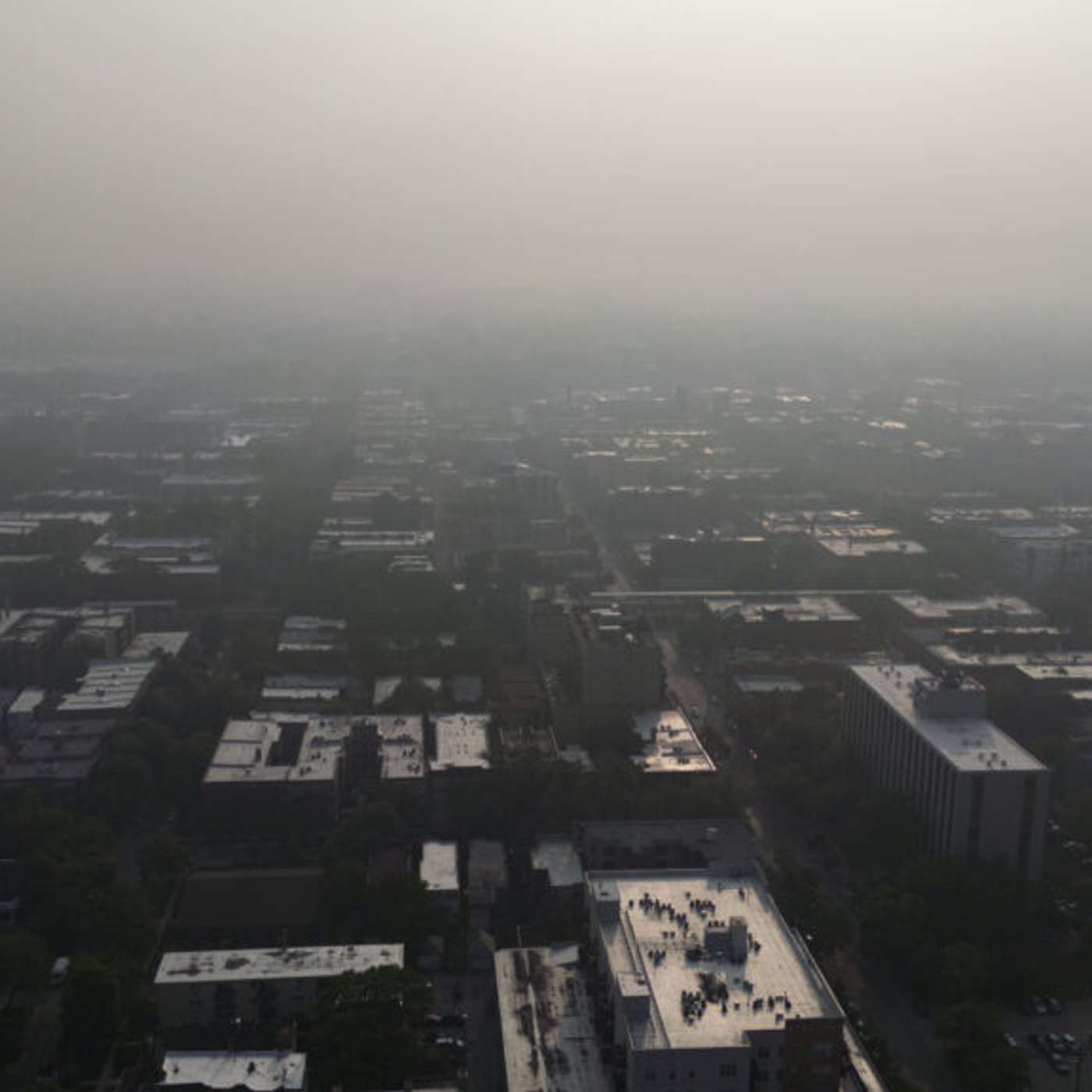 China Launches Bold Leptonic Breakthrough, New Brain Tissue Map Transforms Neurodegeneration, Pace Me Fails Against Standard Care, Smartwatch Signals Opioid Risk, and more...