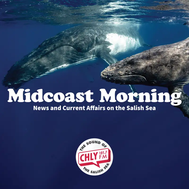 Why are Humpback Whale collisions increasing?