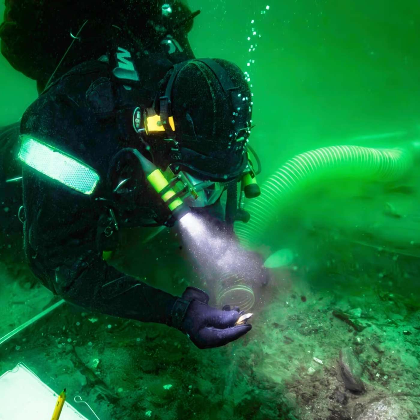 Danish Settlements Reveal Mesolithic Life, NC State Unveils Rainbow, Andes Virus Threatens Health, Microcolony-seq Unveils Bacterial Secrets, and more...