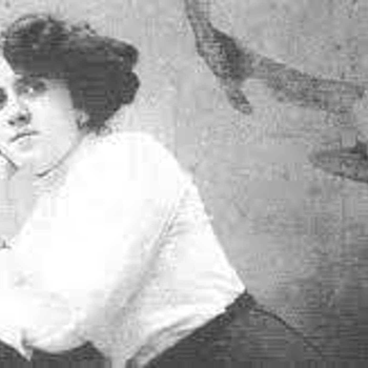 L\'Aria che Tira - Pillole di Lirica