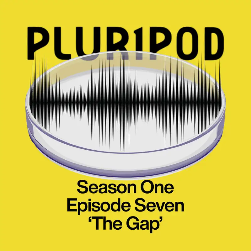 Pluripod S01E07 - 'The Gap'