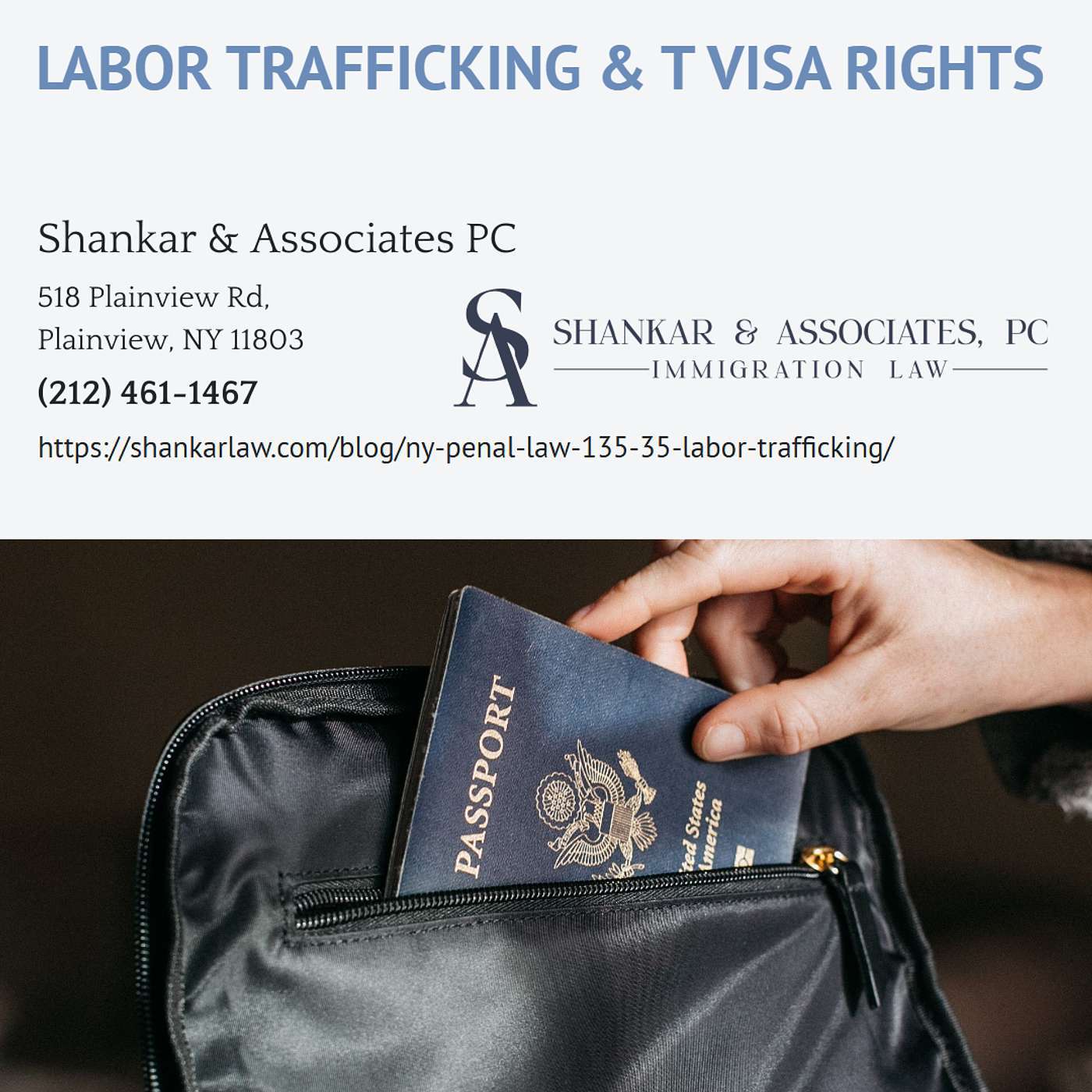 What Is New York Penal Law § 135.35 (Labor Trafficking) and How Does It Support a T Visa Case? - Rajat Shankar episode artwork