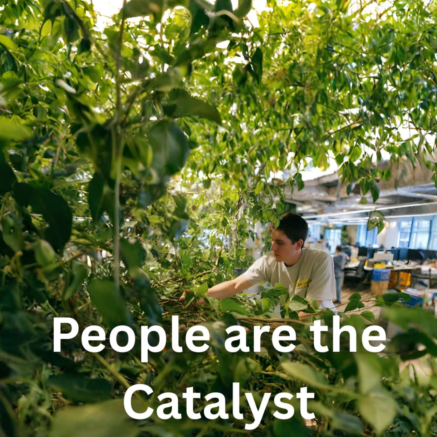 Day 6 - People are the Catalyst episode artwork