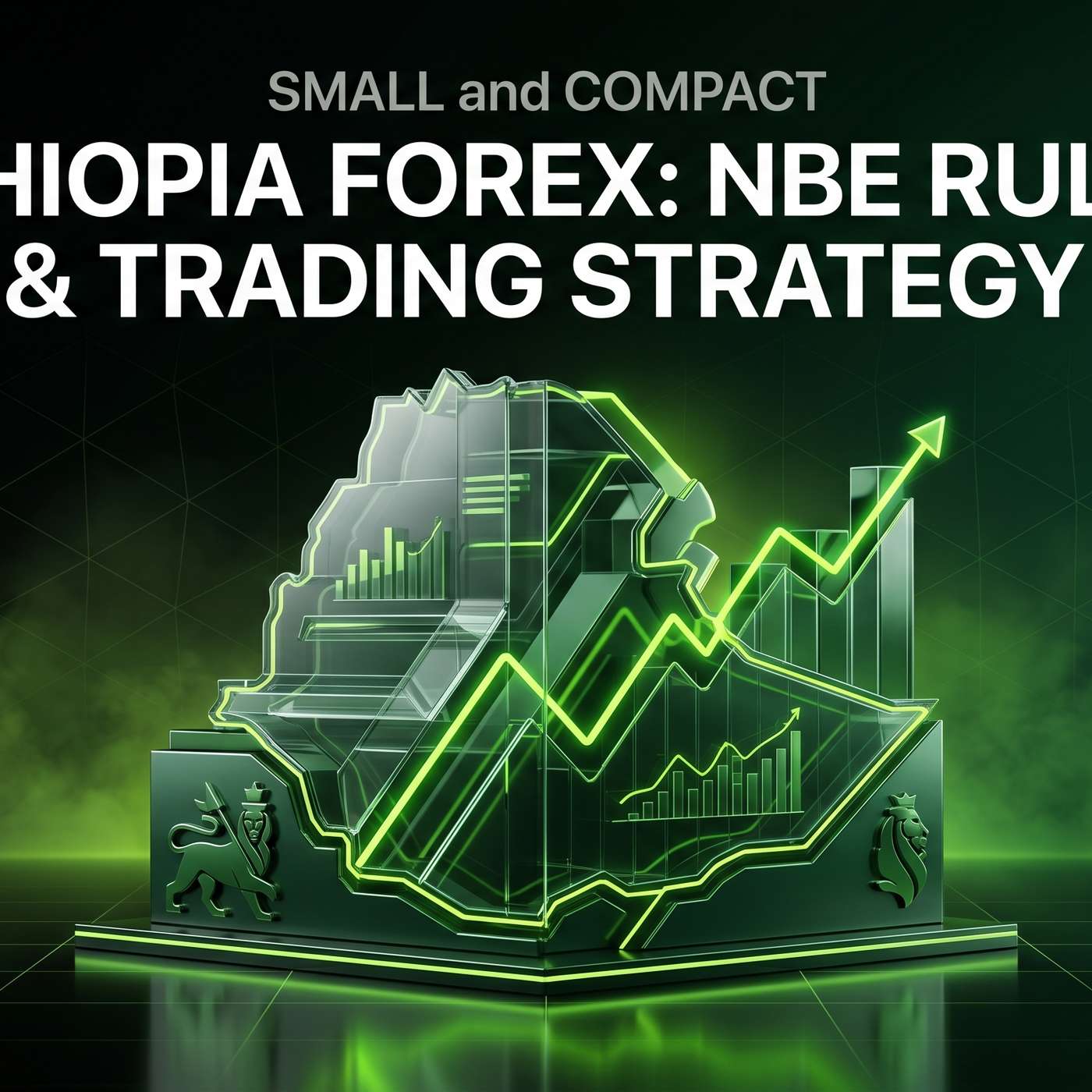 Ethiopia Forex: NBE Rules & Trading Strategy episode artwork