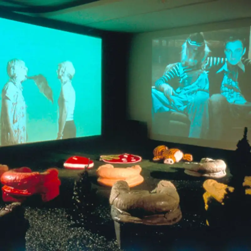 it's like if a small platypus jumped into the air and you caught its bill in your mouth