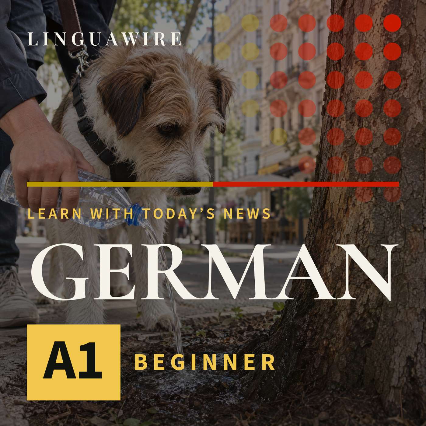 A1 German News | Why Vienna Dog Owners Need Water Bottles