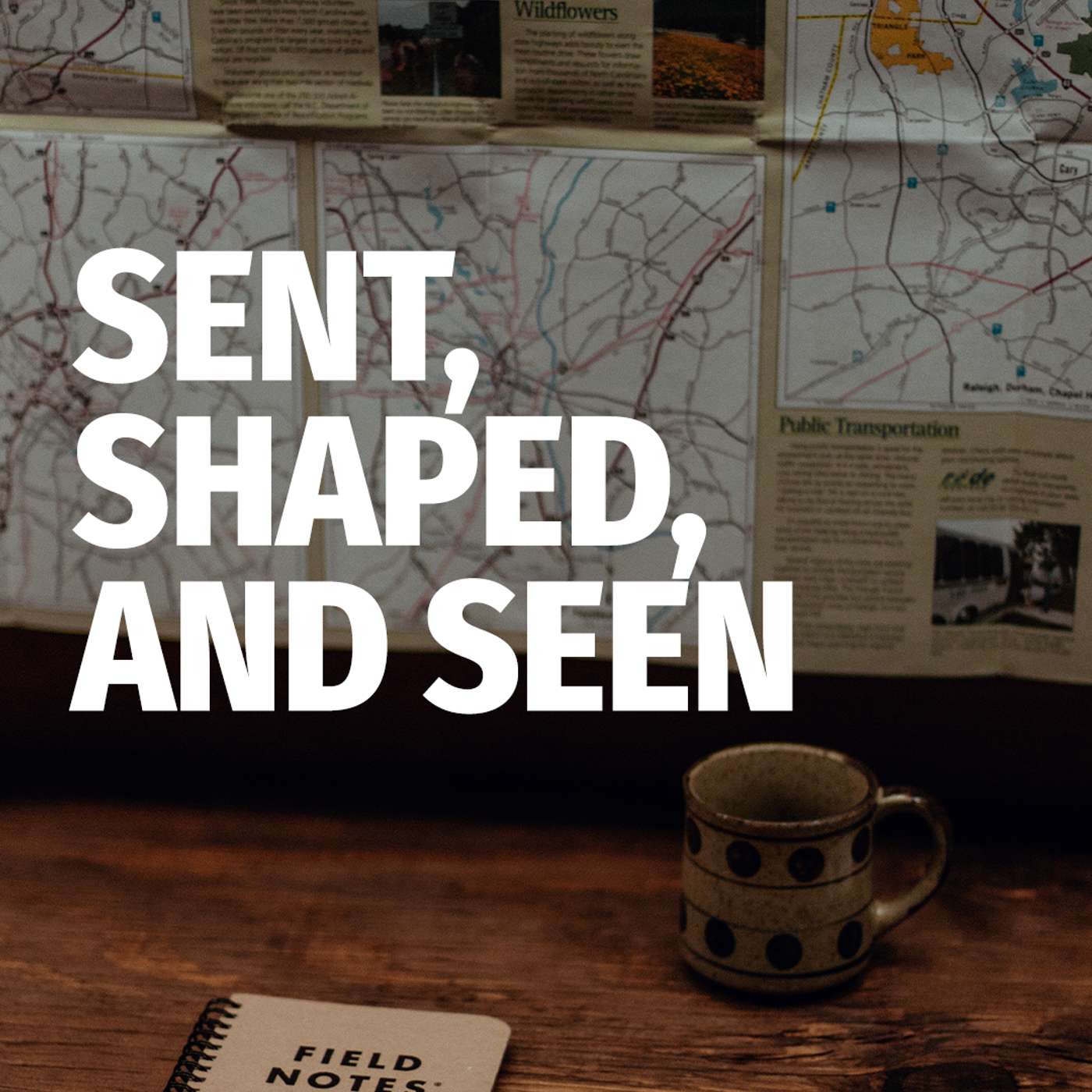 Sent, Shaped, and Seen | Dave Lanuti