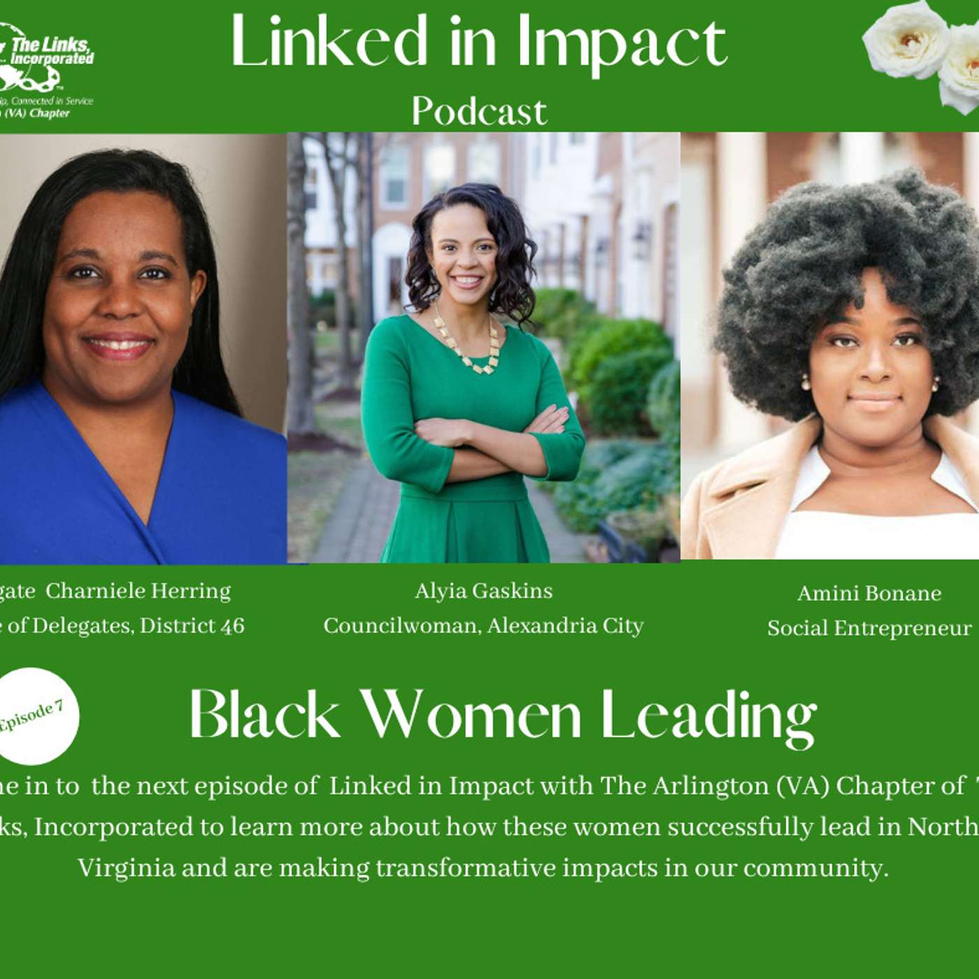 Linked in Impact with DC Metro Area Chapters of The Links, Incorporated
