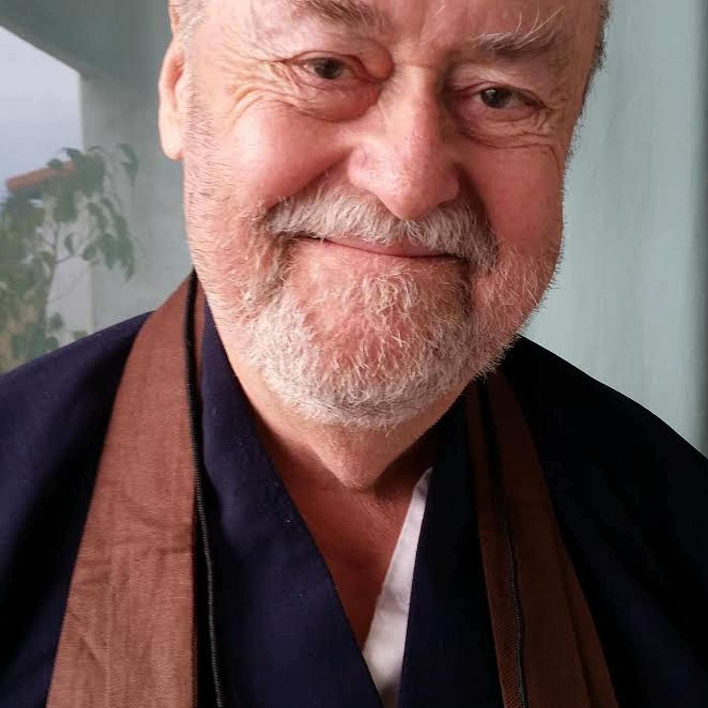 Surprised By Joy - James Ford, Roshi