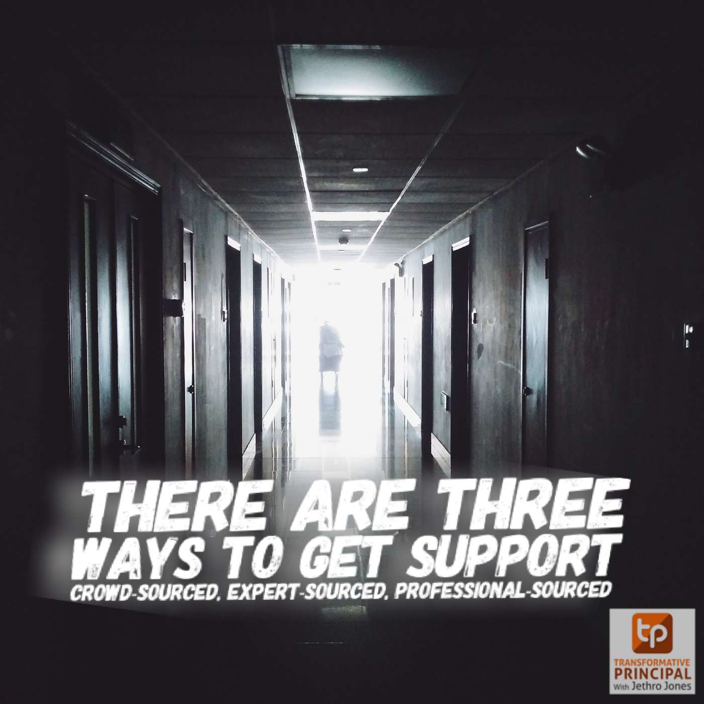 Transformative Principal