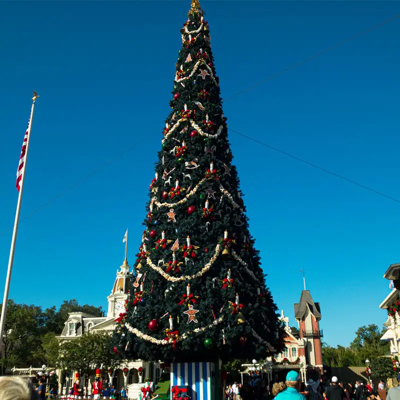 Episode 220: Parks Holiday Overlays