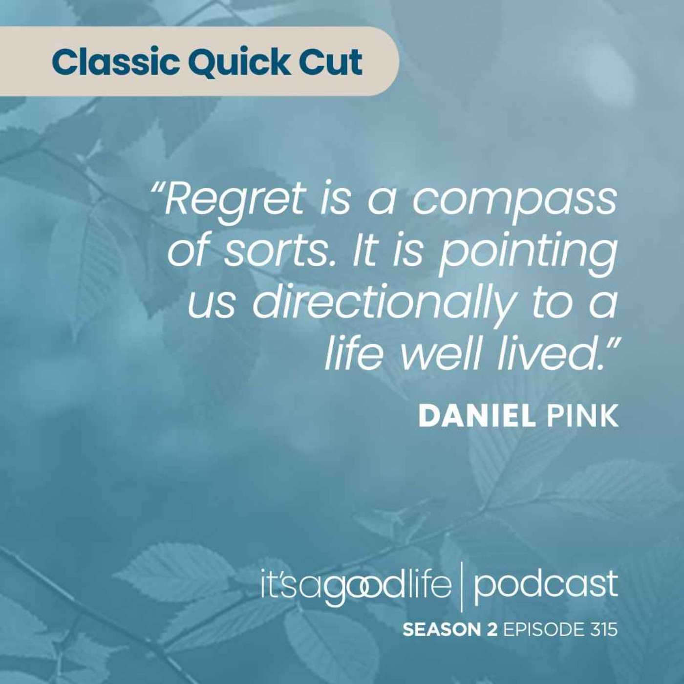 Quick Cut: S2E315 The Power of Regret - an Interview with Daniel Pink