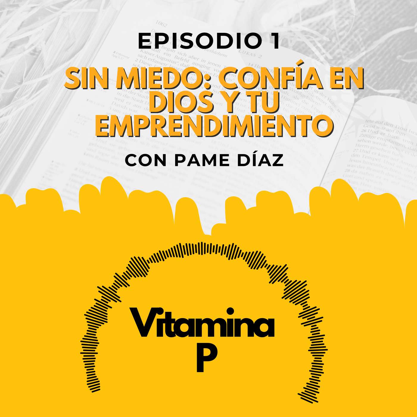 Portada de Vitamina P