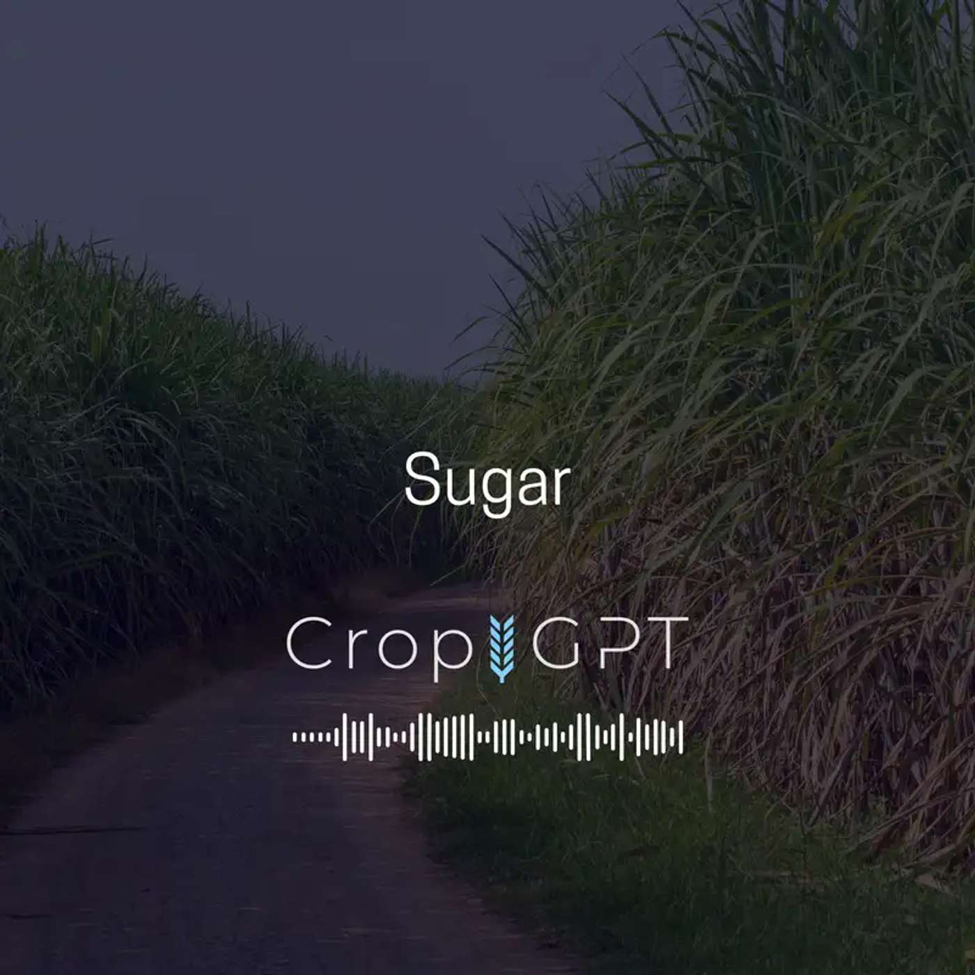 CropGPT - Podcast for Commodities