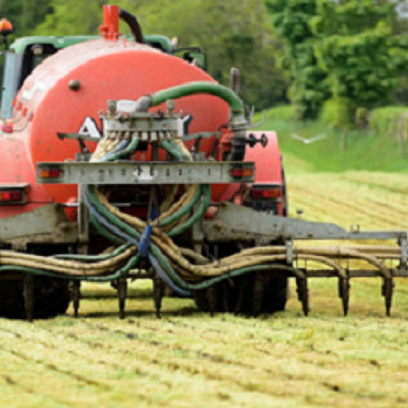 Maintaining grass growth at lower levels of chemical Nitrogen