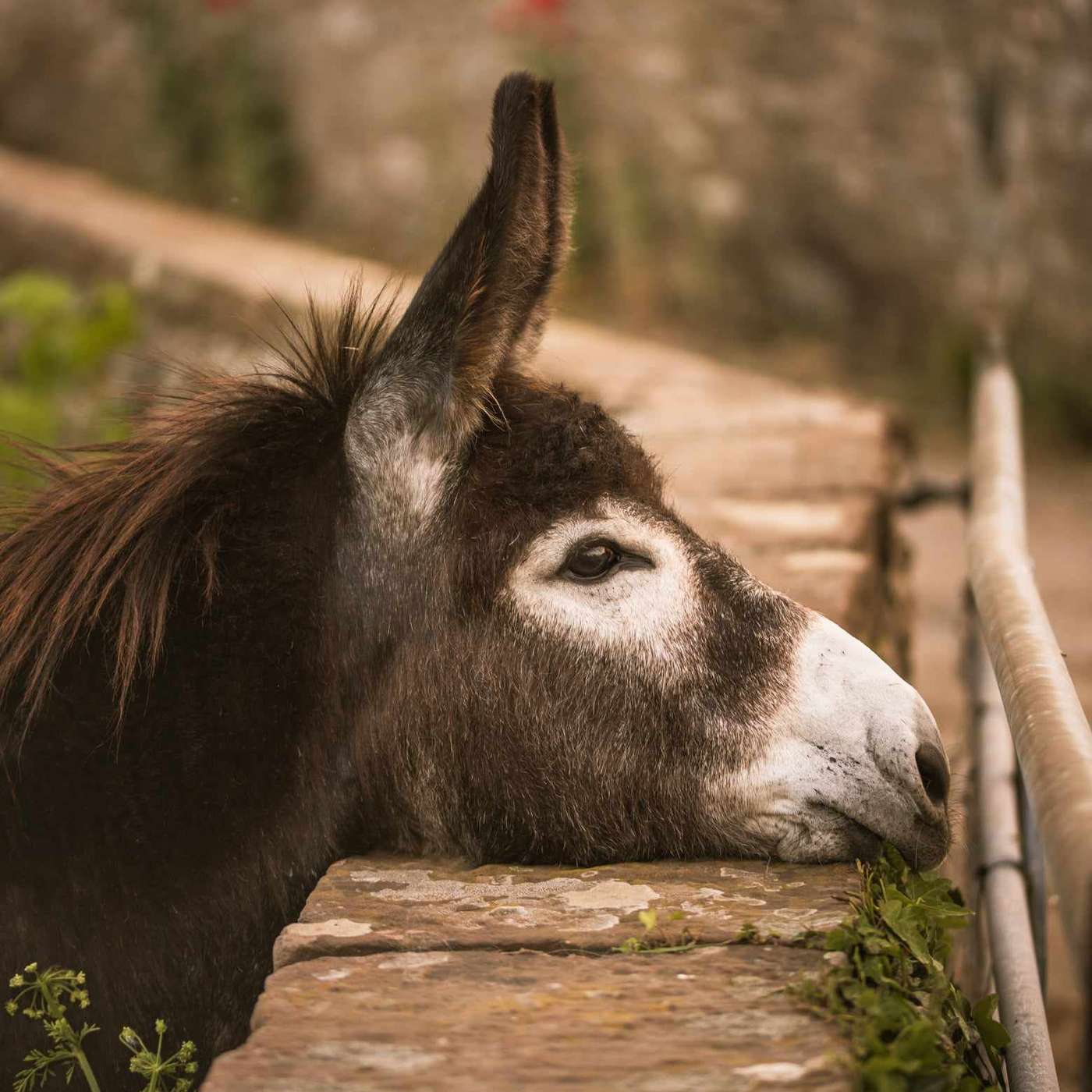 The Ten Thousand Things